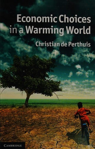 Economic choices in a warming world