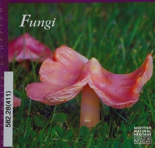 Fungi.