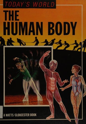 The human body