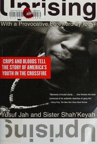 Uprising: Crips and Bloods tell the story of America's youth in the crossfire