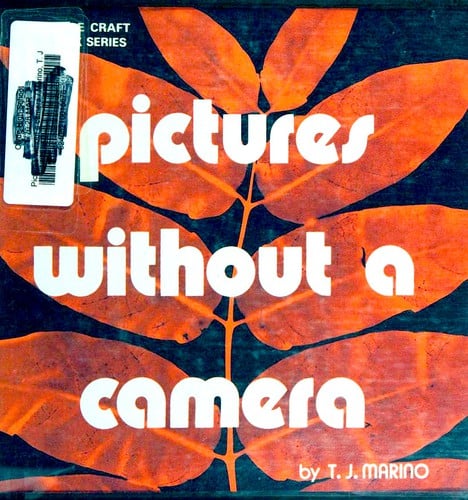 Pictures without a Camera