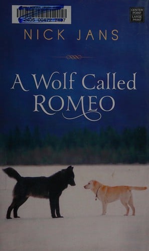 A wolf called Romeo