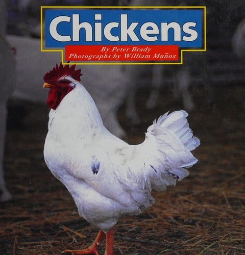 Chickens (Farm Animals)