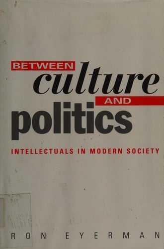 Between culture and politics: intellectuals in modern society