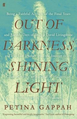 Out of Darkness, Shining Light: A Novel
