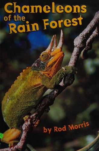Chameleons of the rain forest