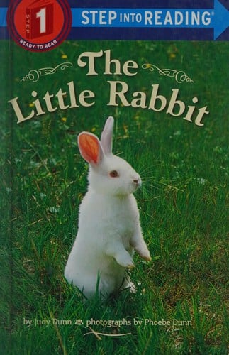 Little Rabbit