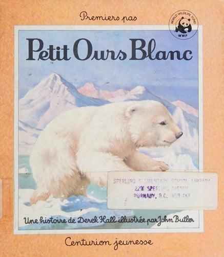 Petit Ours blanc