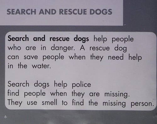 Working dogs