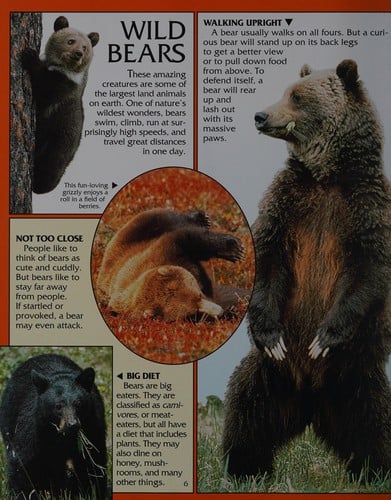 Bears