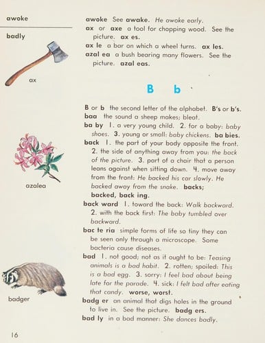 My second picture dictionary