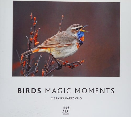 Birds: magic moments