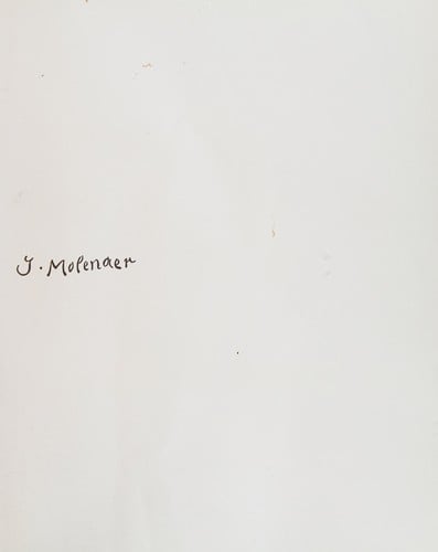 Jan Miense Molenaer: painter of the Dutch golden age