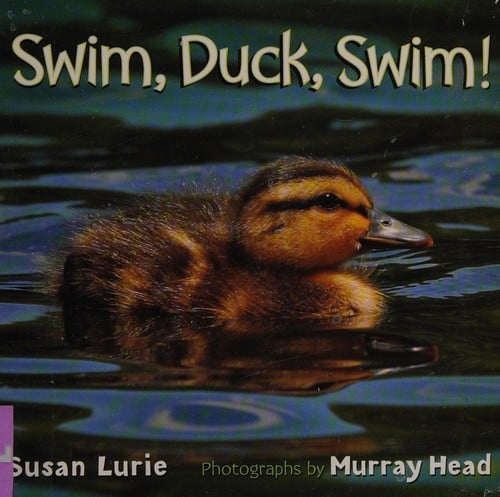 Swim, Duck, Swim!