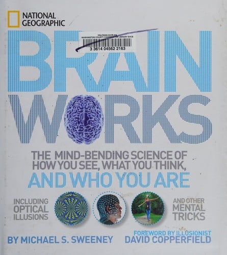 Brainworks: the mind-bending science of how you see, what you think, and who you are