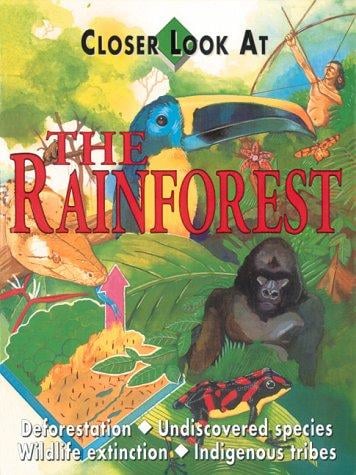 The rainforest