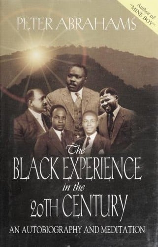 The Black experience in the 20th century: an autobiography and meditation