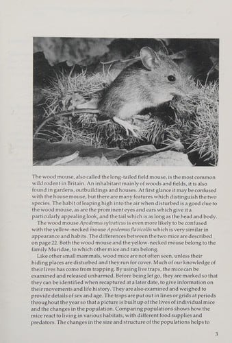 Wood Mice and Yellow Necked Mice (Mammal Society S.)