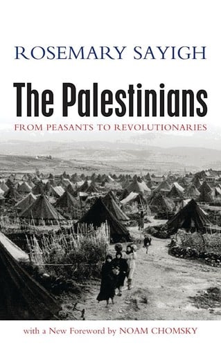 Palestinians: From Peasants to Revolutionaries