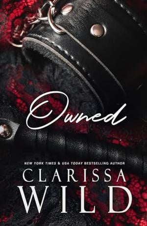 Owned: A Dark Mafia Romance