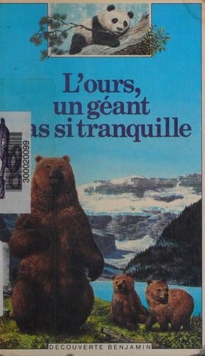 L'ours, un géant pas si tranquille