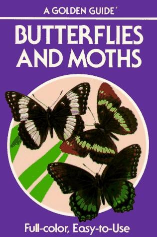 Butterflies and moths: a guide to the more common American species