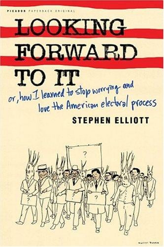 Looking forward to it, or, How I learned to stop worrying and love the American electoral process