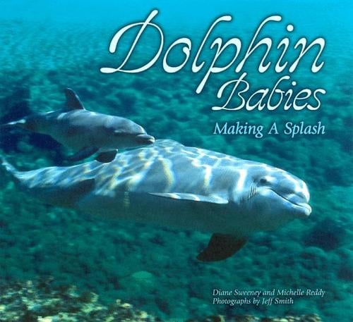 Dolphin babies: making a splash