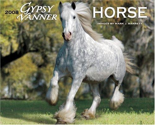 Gypsy Vanner Horse 2008 Calendar