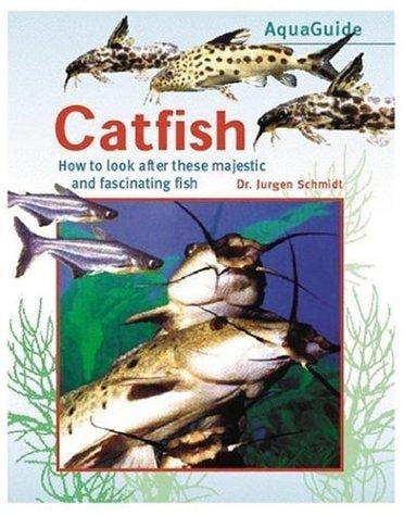 Catfish: How to Look After These Attractive and Fascinating Fishes (Aquaguide)