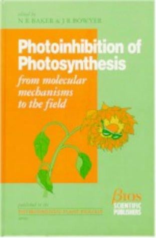 PHOTOINHIBITION OF PHOTOSYNTHESIS (Environmental Plant Biology)
