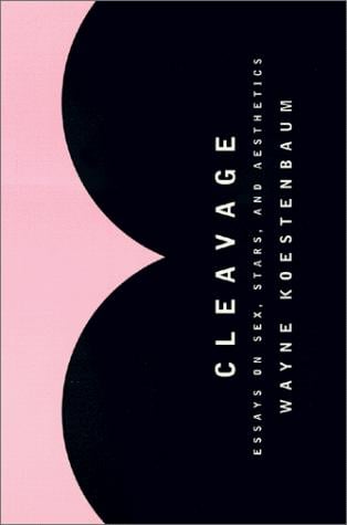 Cleavage: essays on sex, stars, and aesthetics