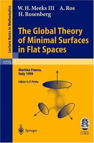 The global theory of minimal surfaces in flat spaces: lectures given at the 2nd session of the Centro Internazionale Matematico Estivo (C.I.M.E.) held in Martina Franca, Italy, June 7-14, 1999