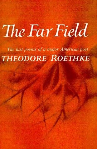 The Far Field