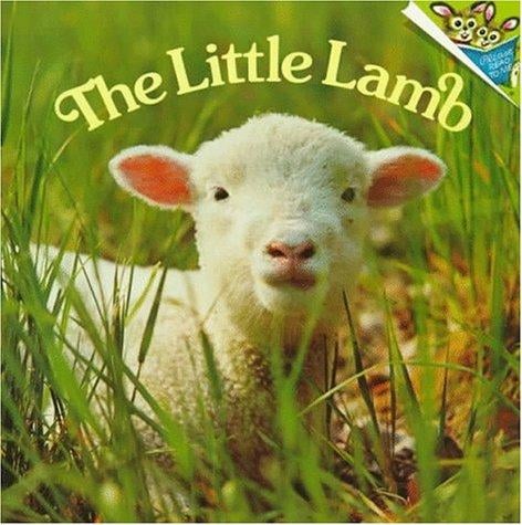 The little lamb