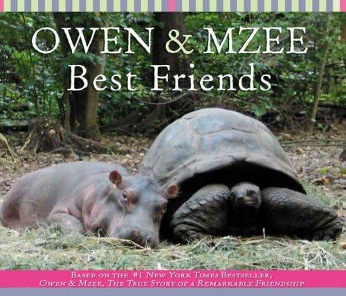 Best Friends (Owen And Mzee)