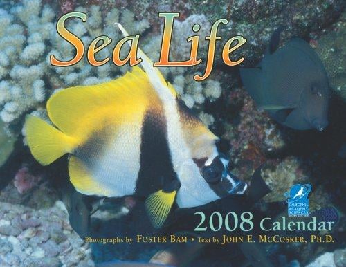 Sea Life 2008 Calendar