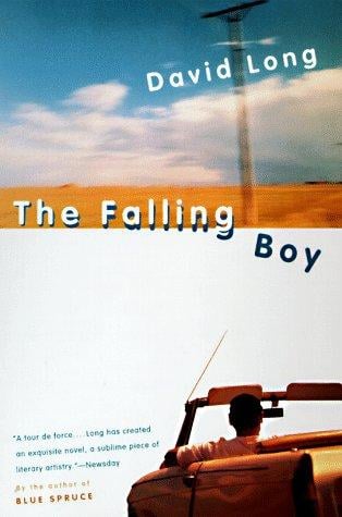 The falling boy: a novel
