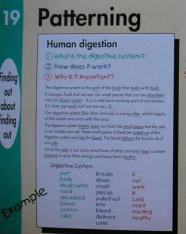 Notemaking Posters for Children: Pack Two