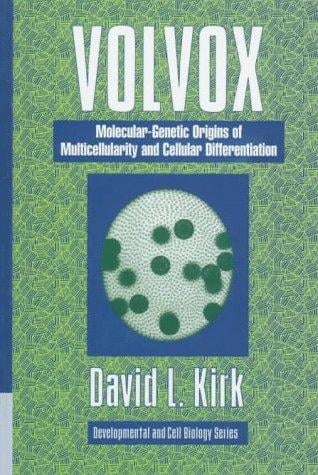 Volvox: molecular-genetic origins of multicellularity and cellular differentiation