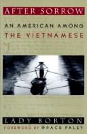 After sorrow: an American among the Vietnamese