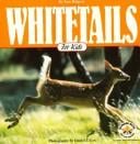 Whitetails for kids