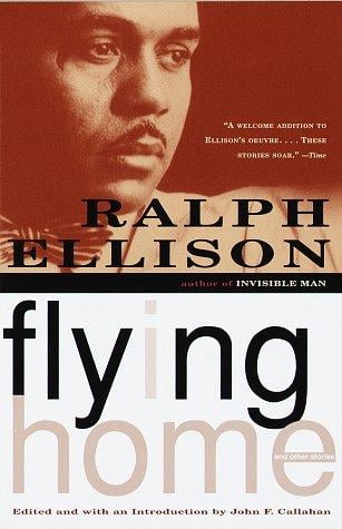 Flying home and other stories