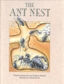 The ant nest