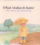 What Makes It Rain?: The Story of a Raindrop