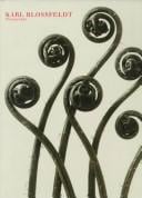 Karl Blossfeldt: Fotografie