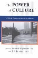 The Power of culture: critical essays in American history