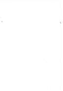 The Smile of the World.