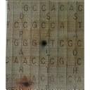 Jane Lackey (Portfolio Collection)