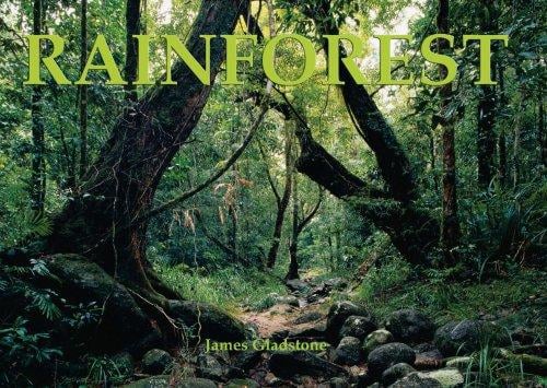 Rainforest